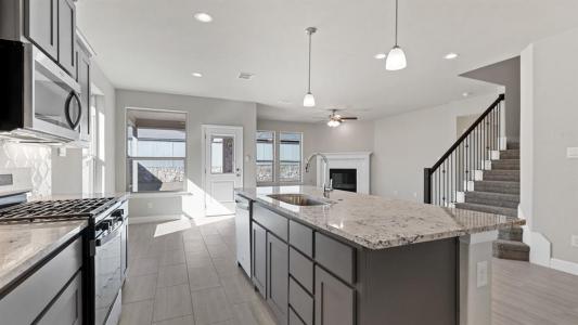 11309 ORCHARD LN, Justin, Teksas 76247, USA
