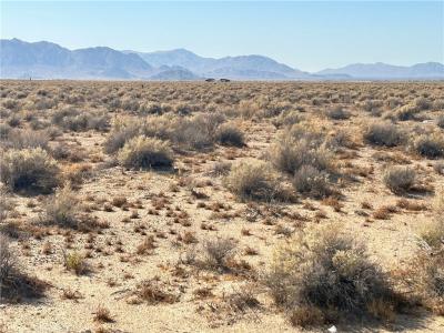 1 Cherokee Trail, Lucerne Valley, Californie 92356, États-Unis