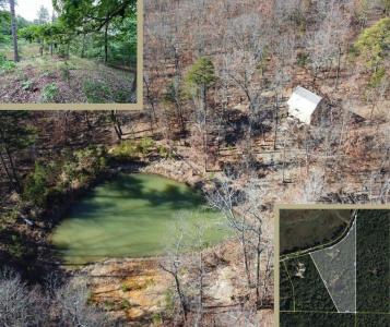 15768 Sargent Road, Willow Springs, Missouri 65793, USA