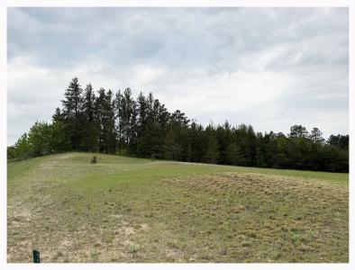 Trophy Buck Rd SW, Bemidji, 明尼蘇達州 56601, 美國