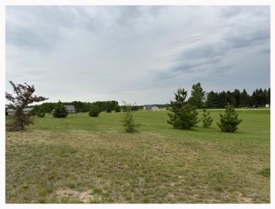 Trophy Buck Rd SW, Bemidji, 明尼蘇達州 56601, 美國