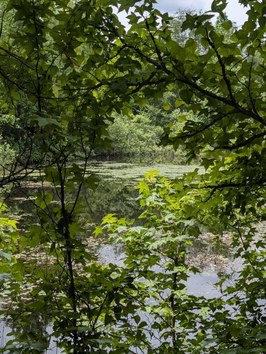 533 Caney Creek Loop, Smithville, Oklahoma 74957