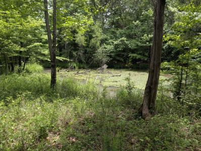 533 Caney Creek Loop, Smithville, Oklahoma 74957