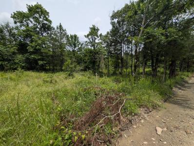 533 Caney Creek Loop, Smithville, Oklahoma 74957