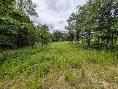 533 Caney Creek Loop, Smithville, Oklahoma 74957
