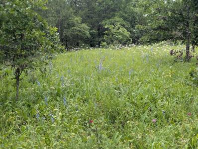 533 Caney Creek Loop, Smithville, Oklahoma 74957