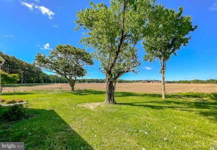 21859 Indian Bridge Road, Great Mills, メリーランド 20634, アメリカ合衆国