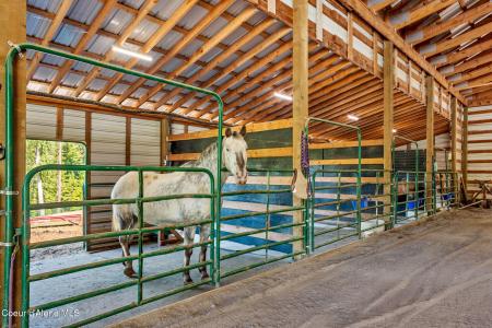 1446 Sagle Creek Rd, Sagle, Idaho 83860, États-Unis