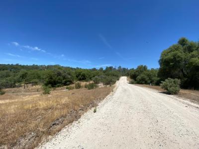 38.31AC Flying O Ranch Rd., Coarsegold, 加州 93614, 美國