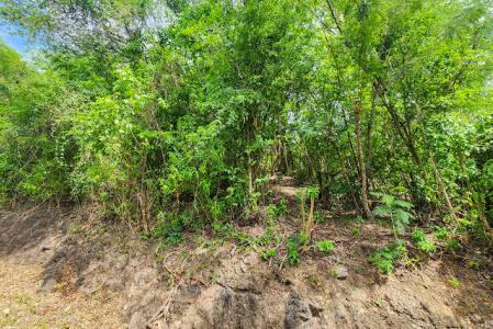 Ft. Jeudy Harbour View Dr. - Lot No.263, Fort Jeudy, St.George West Indies, Grenada