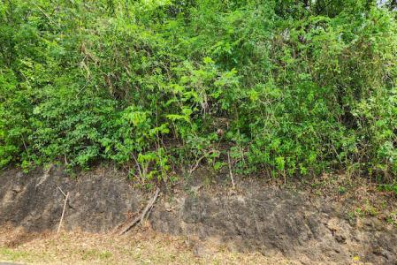 Ft. Jeudy Harbour View Dr. - Lot No.263, Fort Jeudy, St.George West Indies, Grenada