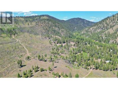 1398 SUMMERS CREEK ROAD, Princeton, British Columbia V0X 1W0, Canada