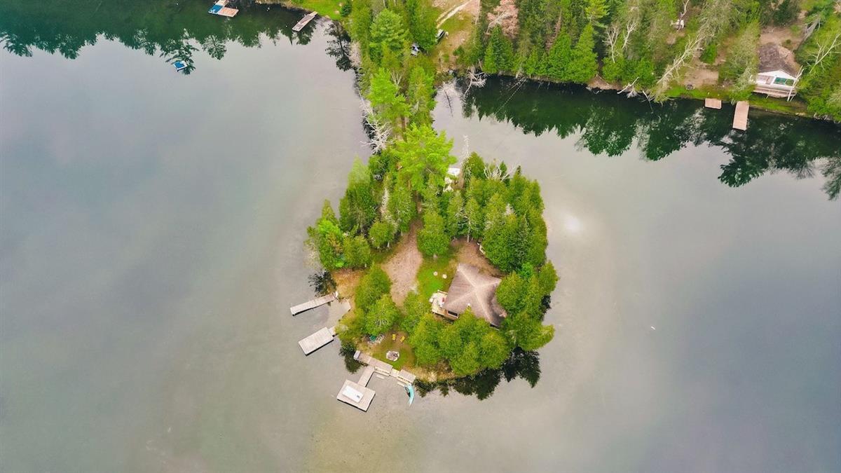 59 Ch. Terjanian, Gracefield, Quebec J0X 1W0, Canada