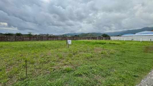 Jacó Jacó Garabito, Puntarenas 61101, קוסטה ריקה