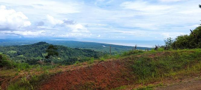 Tres Ríos Puerto Cortés Osa, Puntarenas 00001, Costa Rica