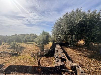 Misterbianco, Sicilia 95045, Italy
