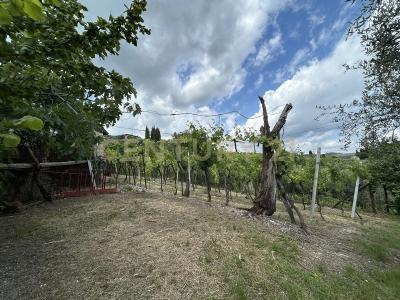 Via Postuman, Mezzane Di Sotto, ヴェネト 37030, イタリア