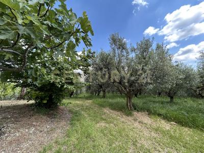 Via Postuman, Mezzane Di Sotto, Veneto 37030, איטליה