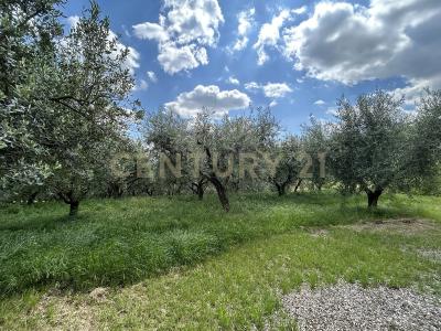 Via Postuman, Mezzane Di Sotto, Veneto 37030, איטליה