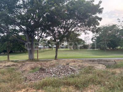 Lluvia de Oro 25 Altozano,, Cuauhtemoc, Colima 28530, México