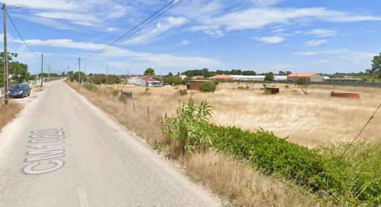 Moita, Setúbal 2860, Portugal