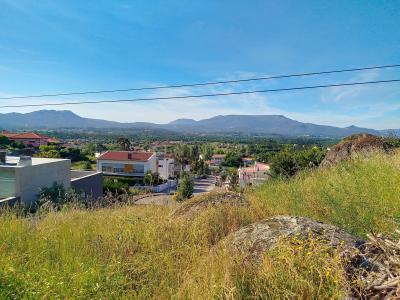 Viana Do Castelo, Viana Do Castelo 4905-255, Portugal
