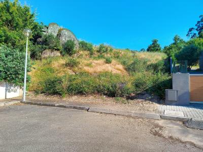 Viana Do Castelo, Viana Do Castelo 4905-255, Portugal