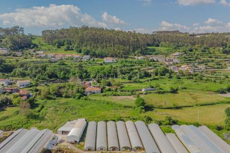 Guimarães, 布拉加 4805-495, 葡萄牙
