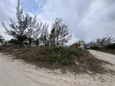 AVENIDA CUARTA S/N,, Ciudad Madero, Tamaulipas 89505, Mexico