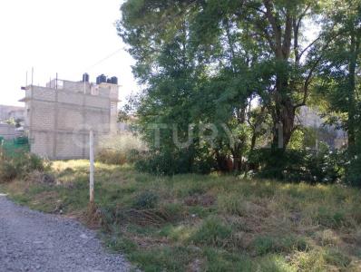 Nicolás Romero, 墨西哥州 54459, 墨西哥