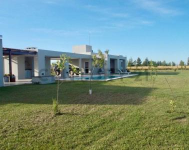 A. Del Valle 1350, Brandsen, GBA Sur 00001, Argentina