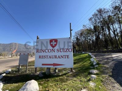 Luján De Cuyo, Mendoza 5549, Argentine