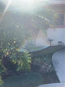 525 S Gretta Ave, West Covina, California 91790