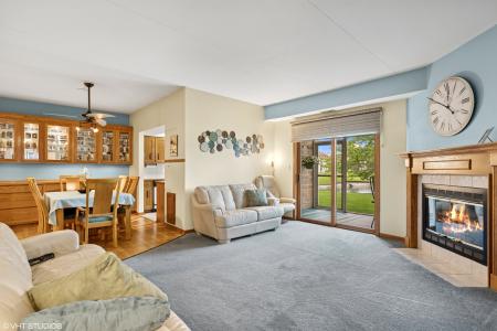 18513 Pine Lake Drive , 1, Tinley Park, Illinois 60477