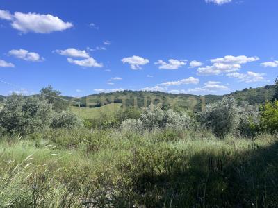loc. la campigliola, Manciano, Toscana 58014, İtalya
