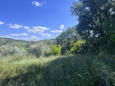 loc. la campigliola, Manciano, Toscana 58014, İtalya