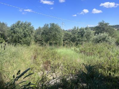 loc. la campigliola, Manciano, Toscana 58014, İtalya