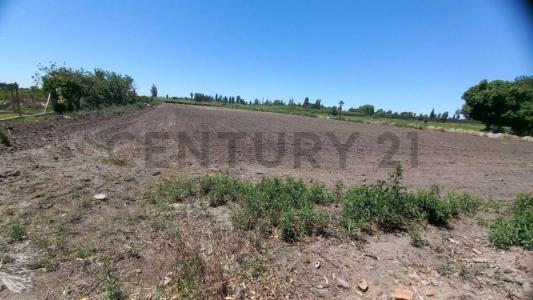 Callejón Escorihuela s/n, Guaymallén, 門多薩 00001, 阿根廷