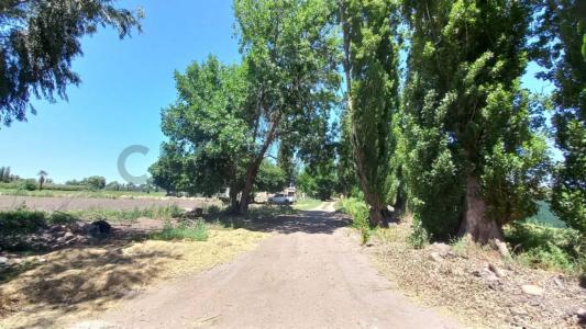 Callejón Escorihuela s/n, Guaymallén, 門多薩 00001, 阿根廷