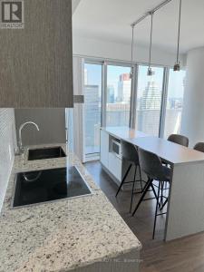 100 HARBOUR STREET, Toronto (waterfront Communities), 安大略省 M5J 0B5, 加拿大