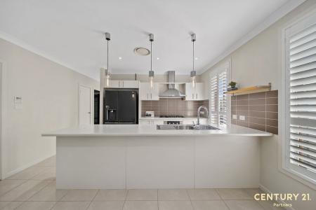 113 Robey Avenue, Middleton Grange, NSW 2171, Australie
