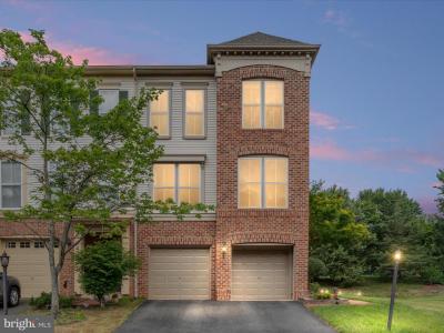 21417 Falling Rock Terrace, Broadlands, Virgínia 20148, Estados Unidos