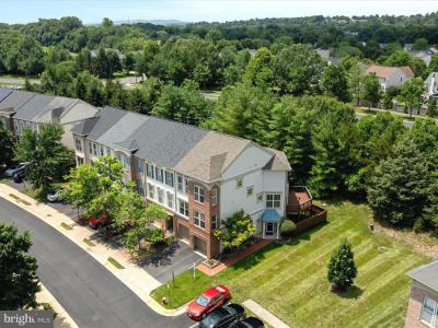 21417 Falling Rock Terrace, Broadlands, Virgínia 20148, Estados Unidos