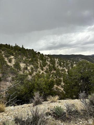 TAX ID TAX ID 00 0014 7177 18, Duchesne, Utah 84021, Estados Unidos