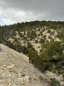TAX ID TAX ID 00 0014 7177 18, Duchesne, Utah 84021, Estados Unidos
