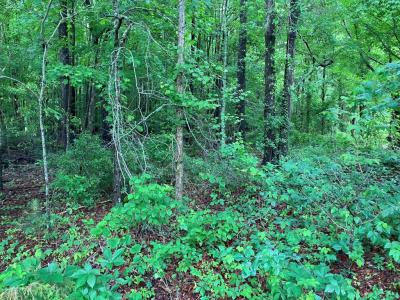 19.42 Acres Main Street, Mathews, Virginia 23109