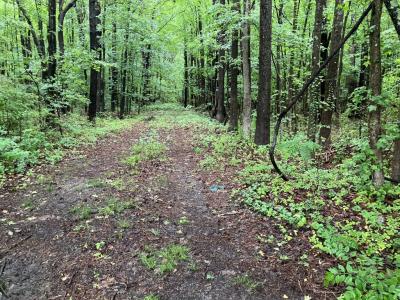 19.42 Acres Main Street, Mathews, Virginia 23109
