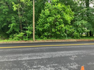 19.42 Acres Main Street, Mathews, Virginia 23109