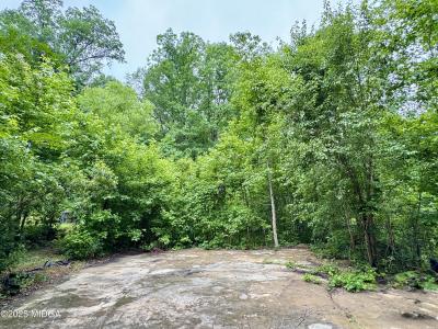 193 Griswoldville Shortcut, Macon, גאורגיה 31217, ארצות הברית של אמריקה 