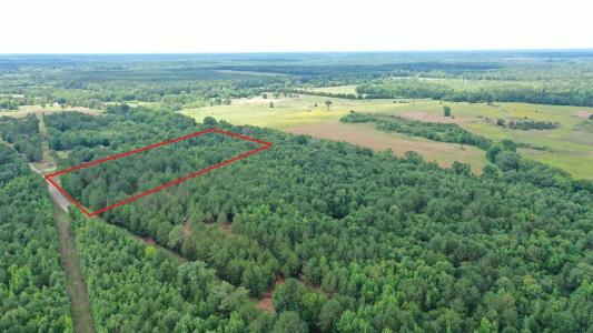 0001 FM 805, Jefferson, Texas 75657, Estados Unidos